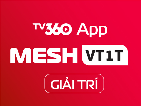 MESHVT2T