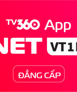 Internet Cá nhân - Gia đình 11 NETVT1H - DANGCAP