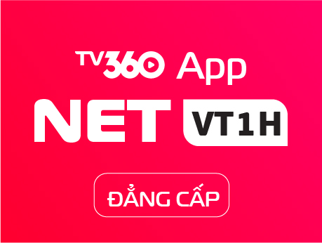 NETVT1H - DANGCAP
