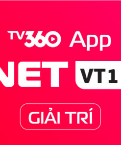 Internet Cá nhân - Gia đình 12 NETVT1H - GIAITRI BOX