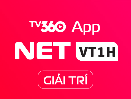 NETVT1H - GIAITRI BOX
