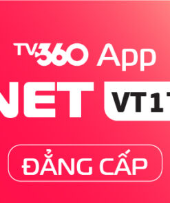 NET VT1T - DANGCAP