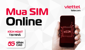 sim vt 600x352 1